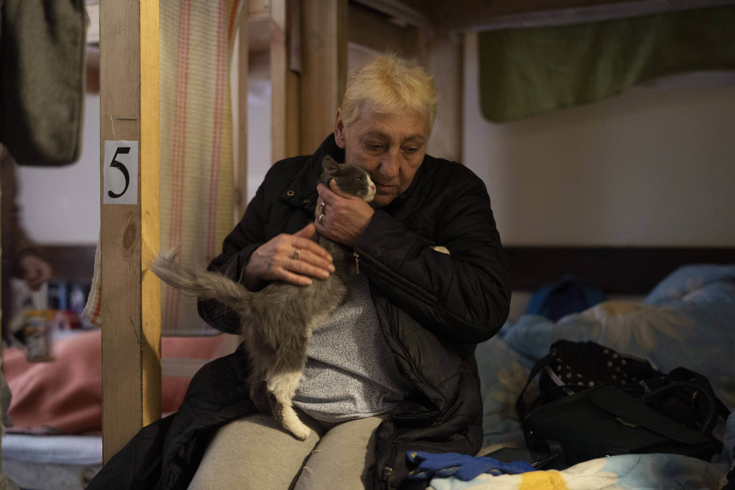 Ukraine, refugees